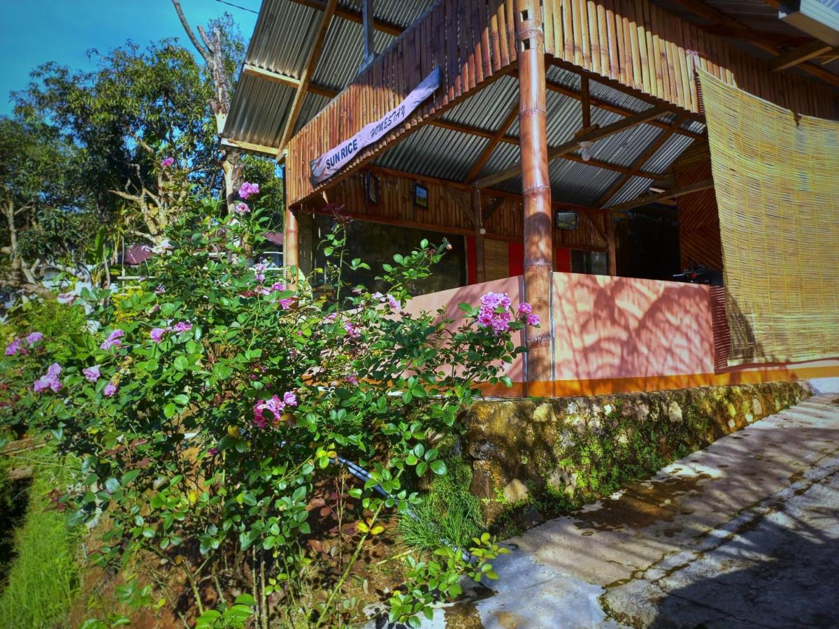 Sun Rice Homestay Ruteng Eksteriør billede
