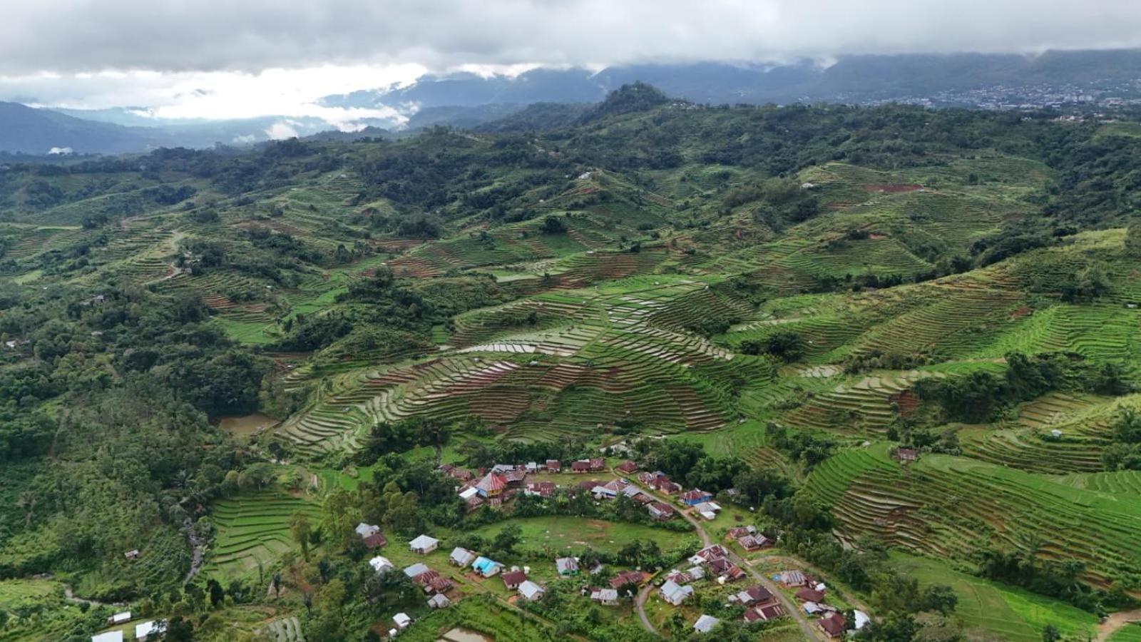 Sun Rice Homestay Ruteng Eksteriør billede